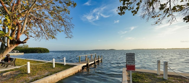 dock area featuring a water view