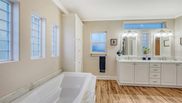 bathroom with crown molding, a healthy amount of sunlight, tiled tub, and vanity