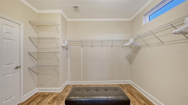 walk in closet featuring hardwood / wood-style floors