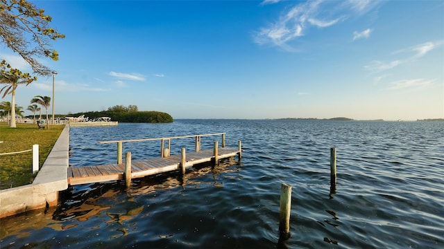 dock area featuring a water view