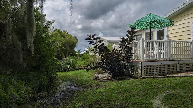 view of yard featuring a wooden deck