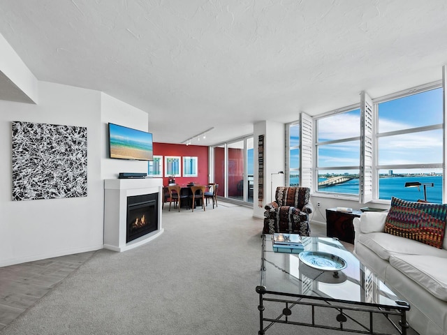 carpeted living room featuring a textured ceiling