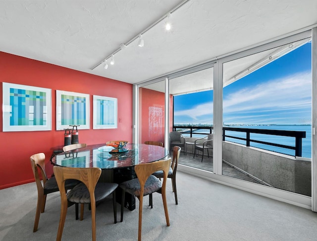 carpeted dining area featuring plenty of natural light, a water view, and rail lighting