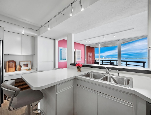 kitchen featuring rail lighting, kitchen peninsula, a breakfast bar area, hardwood / wood-style flooring, and sink