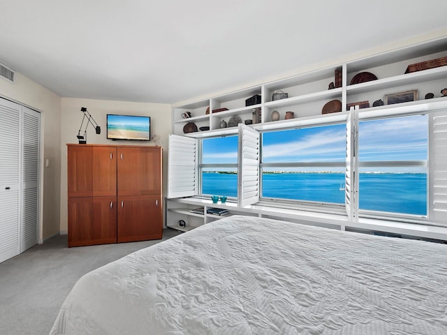 carpeted bedroom featuring a closet