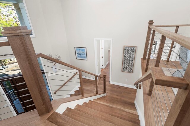 staircase with wood-type flooring