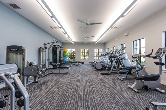 workout area with a wealth of natural light, ceiling fan, and carpet floors