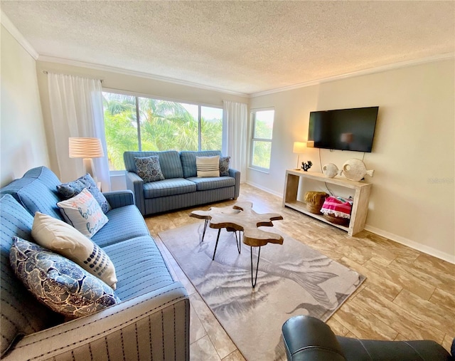 living room with ornamental molding, a textured ceiling, and a healthy amount of sunlight