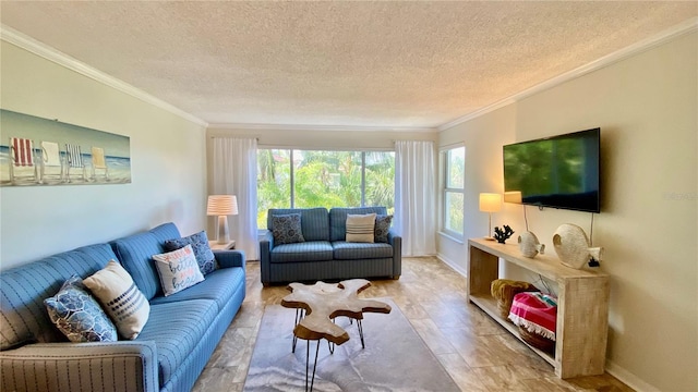 living room with a textured ceiling and ornamental molding