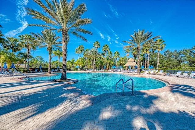 view of pool featuring a patio