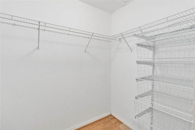 spacious closet featuring wood-type flooring