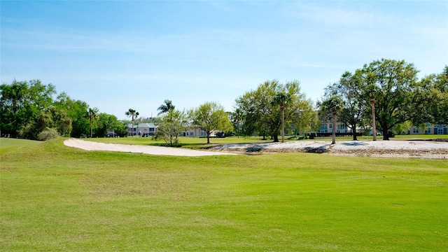 view of community featuring a yard