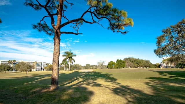 view of home's community featuring a lawn