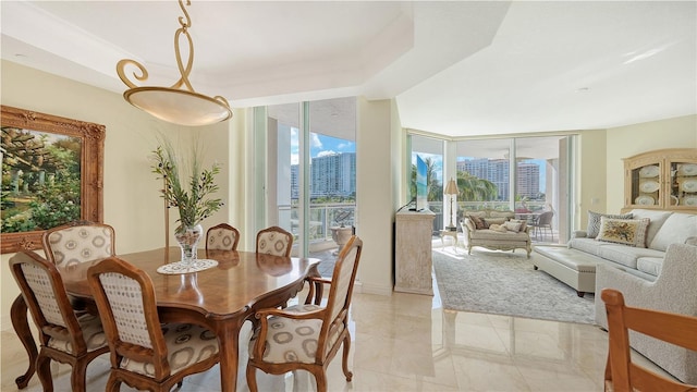 dining space featuring a raised ceiling