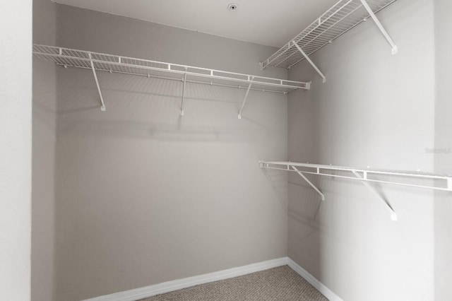 spacious closet with carpet floors