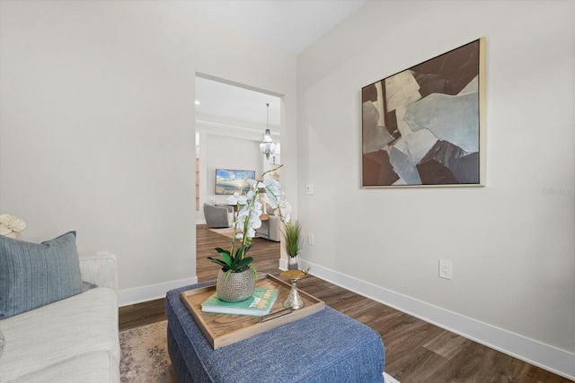 living area with dark hardwood / wood-style flooring