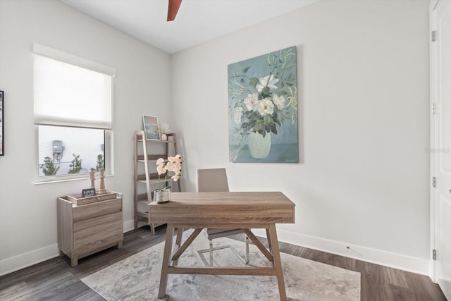 office featuring ceiling fan and dark wood-type flooring