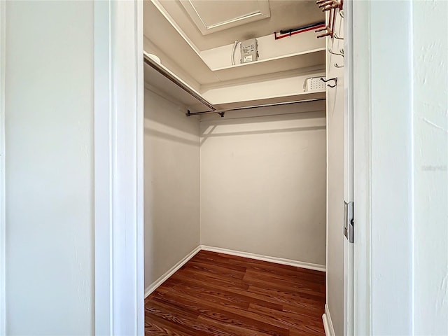 spacious closet featuring dark hardwood / wood-style floors