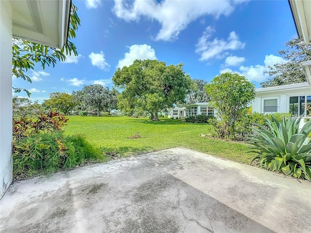 view of yard with a patio area