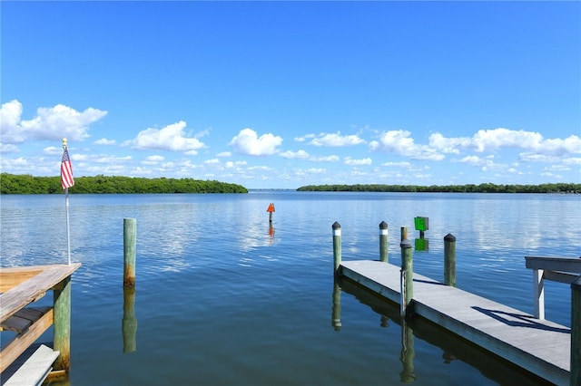 dock area with a water view