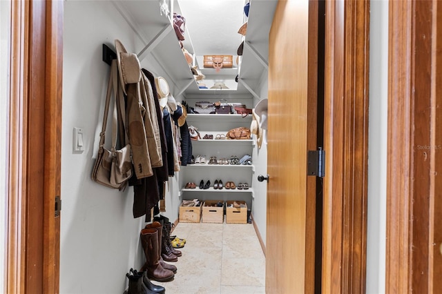 view of spacious closet