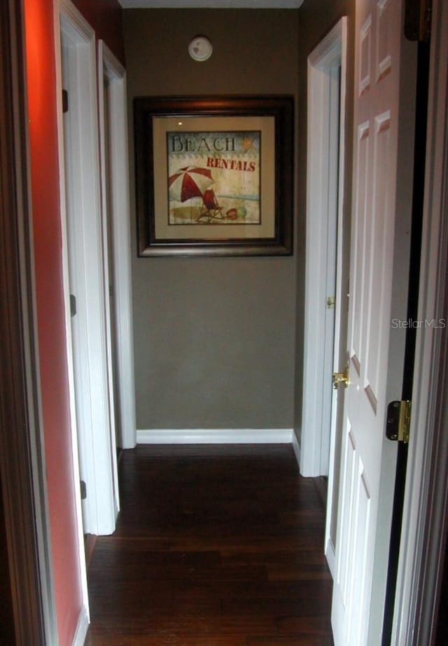 hall featuring dark wood-type flooring