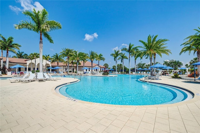 view of swimming pool featuring a patio area