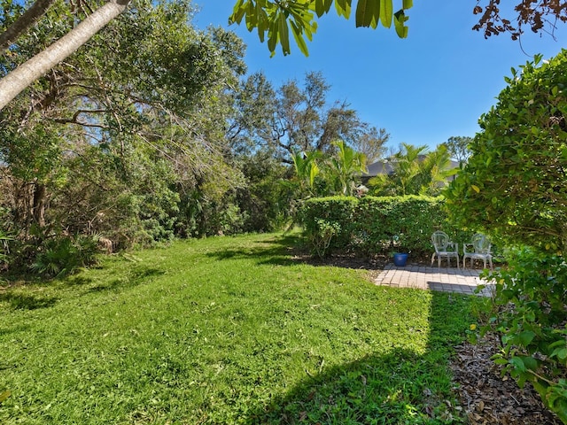 view of yard with a patio