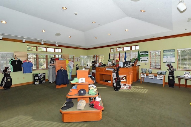 recreation room featuring track lighting, vaulted ceiling, and dark colored carpet