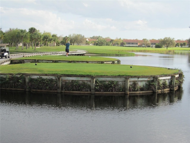 dock area with a yard and a water view