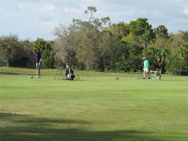 view of community with a yard