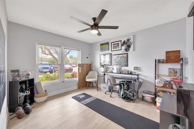 office space with light hardwood / wood-style flooring, a textured ceiling, and ceiling fan