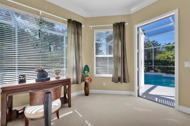 carpeted home office featuring ornamental molding