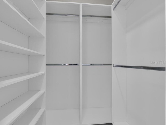 view of walk in closet