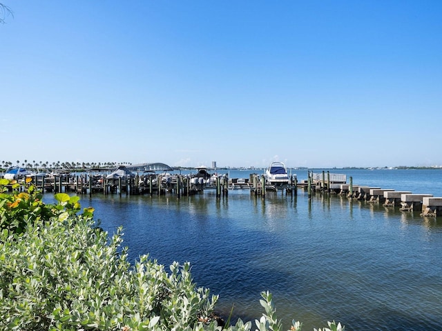 water view with a dock