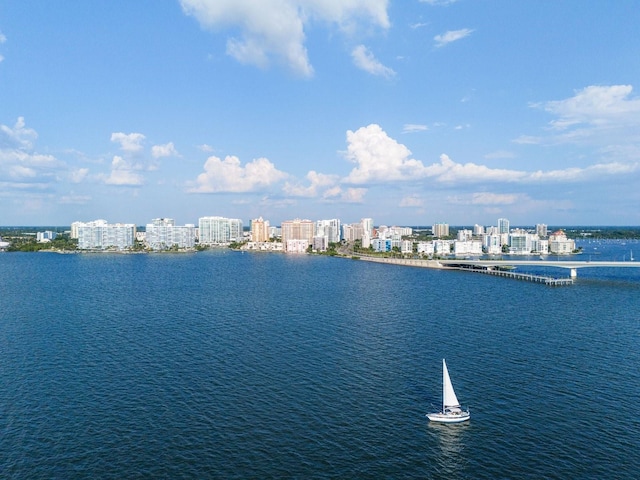 property view of water with a city view