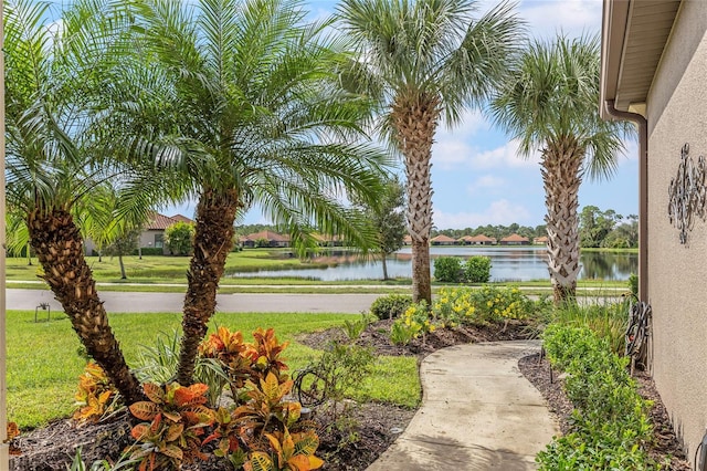 view of yard with a water view