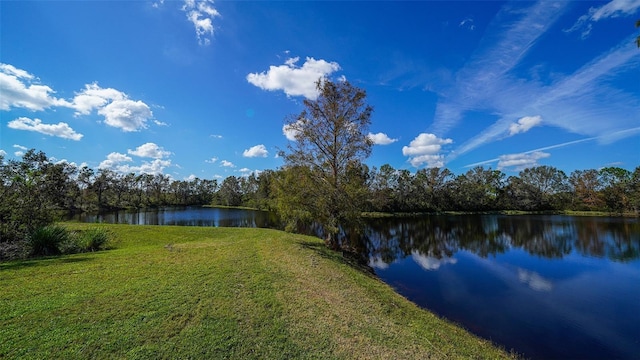 property view of water with a view of trees