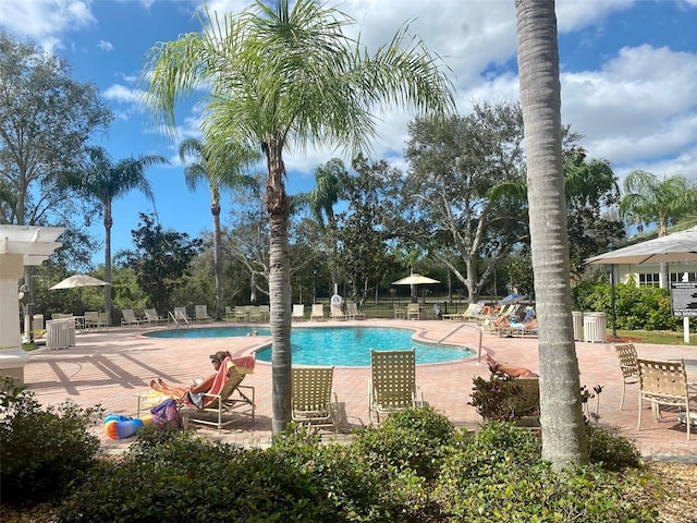 view of swimming pool featuring a patio area