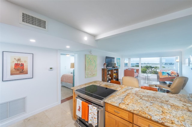 kitchen featuring light stone countertops and electric stove