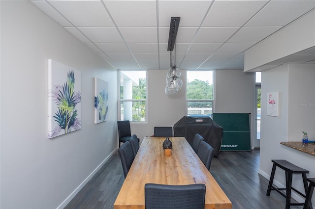 dining room featuring a drop ceiling and dark hardwood / wood-style flooring