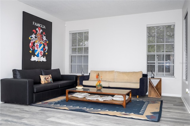 living room featuring a textured ceiling and wood-type flooring