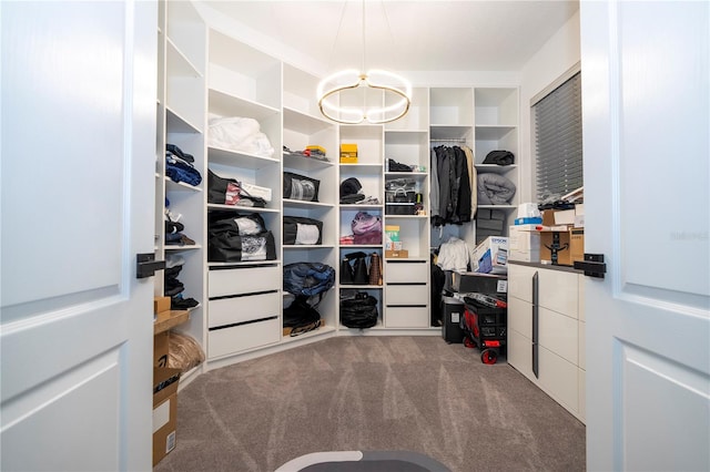 spacious closet featuring carpet floors and a chandelier