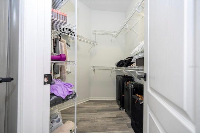 spacious closet with hardwood / wood-style flooring and radiator