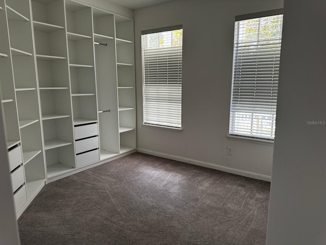 unfurnished bedroom with baseboards, carpet flooring, and multiple windows