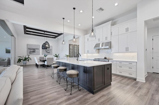 kitchen with sink, white cabinetry, light hardwood / wood-style floors, pendant lighting, and a center island with sink