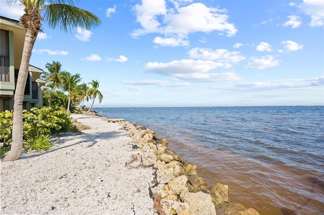 property view of water