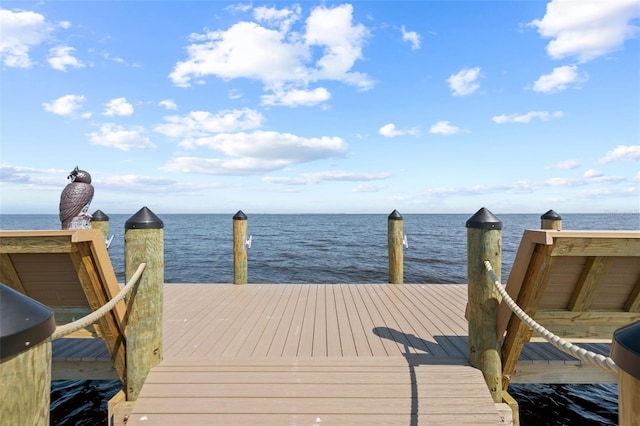 dock area featuring a water view