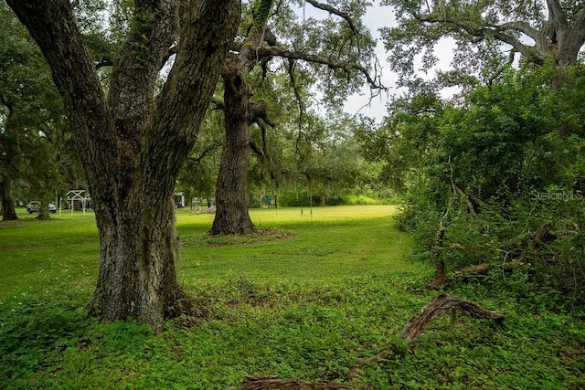 view of nature