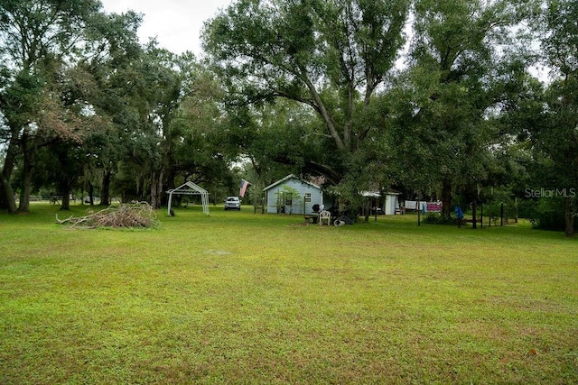 view of yard